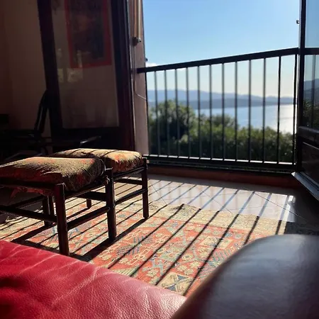 L'oranger Porticcio (Corsica)